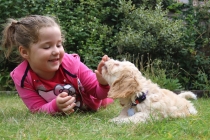 Accueillir un chien à la maison : conseils et précautions